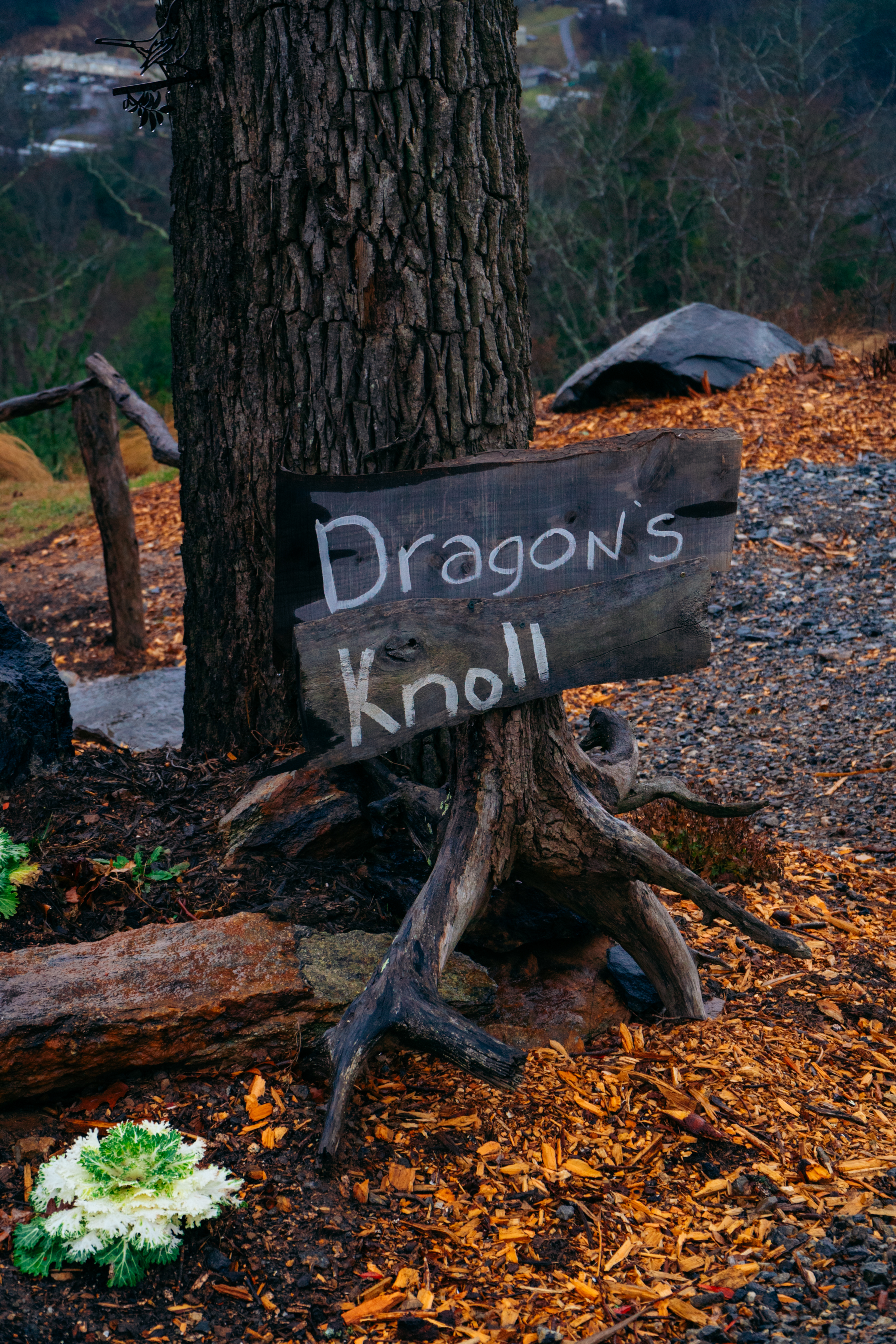 Dragons Knoll